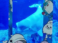 -珠海长隆海洋王国