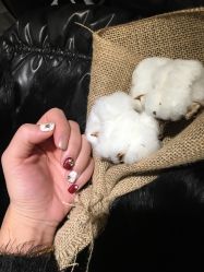 -雪儿·YuKi美甲美睫皮肤管理Salon