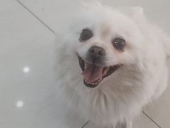 -美联众合动物医院·24h京西诊疗中心