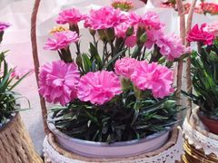 -三旗百汇商品城