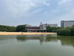 -青枫公园