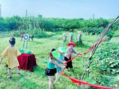 -樂桃源奉贤黄桃种植采摘基地