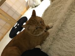 -小时光咖啡馆(开森度假森林店)