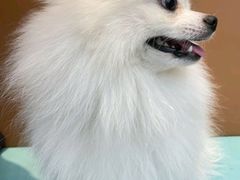 -联合动物医院(光谷诊疗中心)