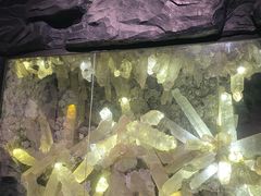 -湖南省地质博物馆