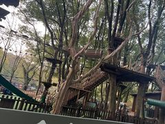 -WeLope紫金山探险公园