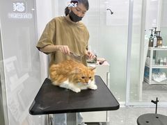 -爱洗澡的猫(天河路店)