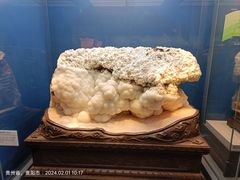 -贵州省地质博物馆