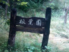 -牛背梁国家森林公园