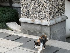 -思南公馆