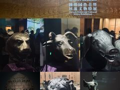 -广西壮族自治区博物馆