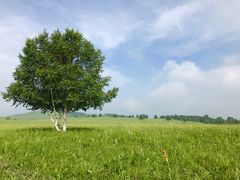 -塞罕坝国家级自然保护区