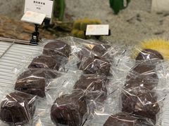 -OUR Bakery(SKP-S店)