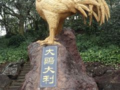 -海口火山口国家地质公园