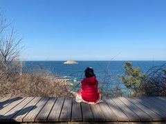 -养马岛旅游度假区