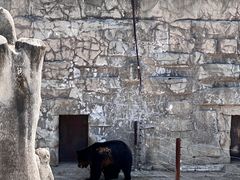 -哈尔滨北方森林动物园