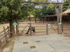 -泉州海丝野生动物世界