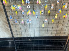 -益利大酒楼(井岸店)