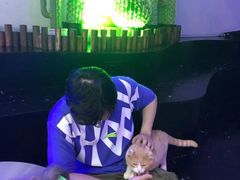 -极木²邸 人与宠物·互动社区