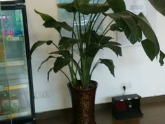 -莫泰酒店(上海虹桥北新泾地铁站天山路店)