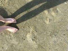 -北海金海湾红树林生态旅游区