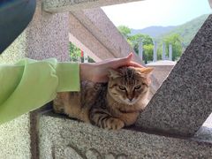-孙武文化园-停车场