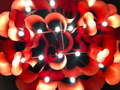 -大龙辣火锅·龙虾·烧烤(湖滨新天地店)