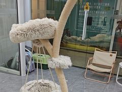 -爱洗澡的猫(天河路店)