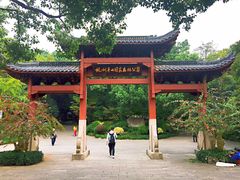 -杭州半山国家森林公园