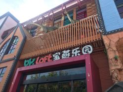-宝燕乐园(闵行旗舰店)