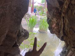 -檀园