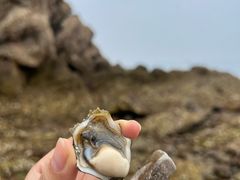 -石槽海滨浴场