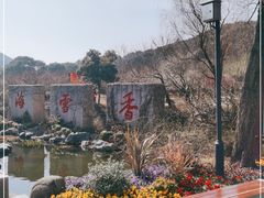-香雪海
