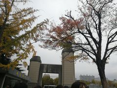 -淮海战役纪念馆