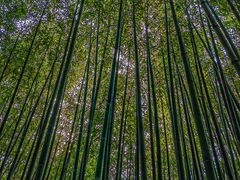 -普照寺
