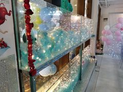 -天空花园餐吧·生日·团建(南山店)