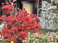 -惠山古镇·寄畅园