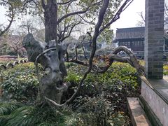 -东山雕花楼