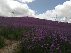 -贵州云顶草原民族风情园