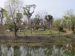 -上海长兴岛郊野公园