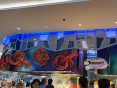 -帝企鹅自助餐厅•儿童岛•真企鹅(长隆企鹅酒店)