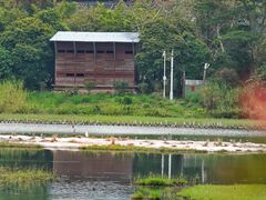-华侨城湿地公园