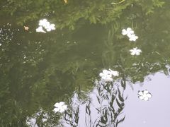 -北坞公园