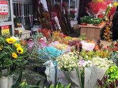 -双季花艺园艺市场(浦东店)