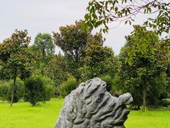 -金岛生态园烧烤露营地