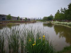 -西安浐灞国家湿地公园