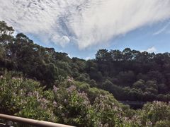 -金鸡山公园
