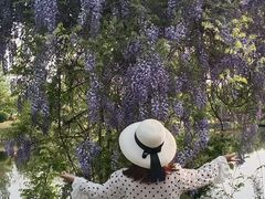 -龙寺生态园