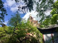 -塔云山
