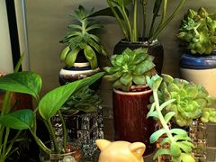 -街角 T·COFFEE 融合料理·BISTRO(车公庙店)